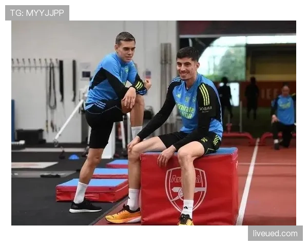 沃特金斯是否依赖体系？战术角色与自主进攻能力解析