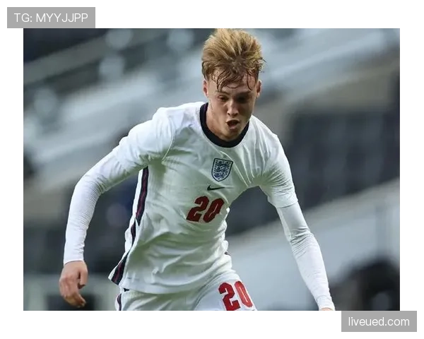 帕尔默与迪马利亚左脚进攻创造力对比：技术特点与风格差异解析